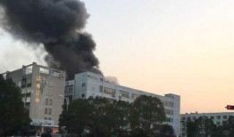 义乌火灾最新爆料荷叶塘,荷叶塘火灾事件深度解析